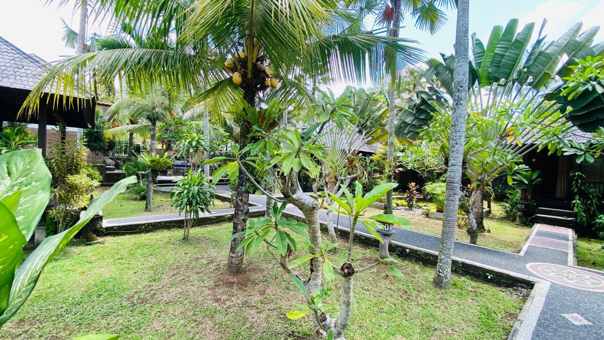 Dong Loka Guesthouse Bali Carangsari Ngoại thất bức ảnh